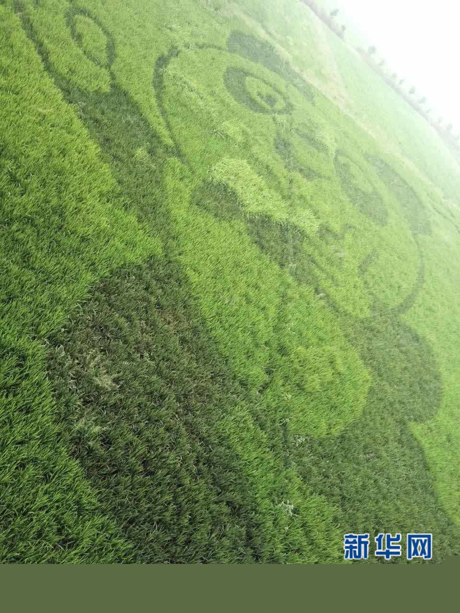 ġˇg