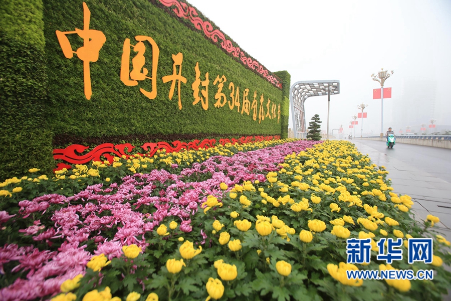 開封:雨中菊花更艷麗