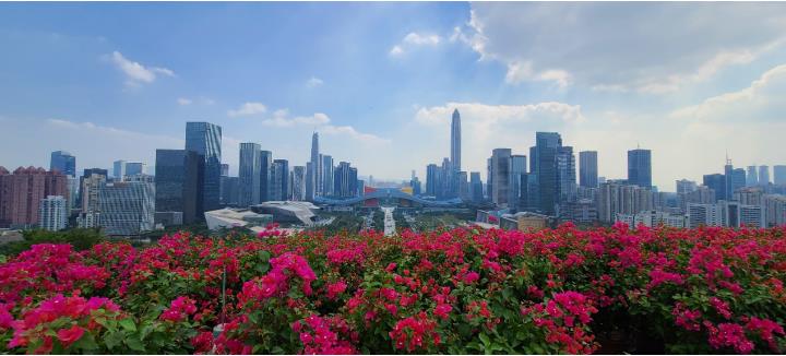 時政現場說丨牢記總書記囑托 續寫春天的故事